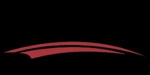 BSG üreticisi resmi
